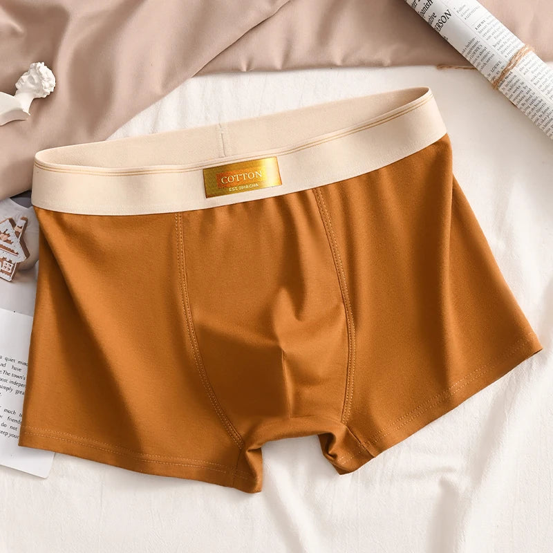 Luxury Cotton Boxer Shorts